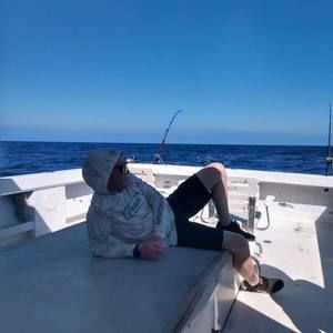 Meet your Posher, Dylan